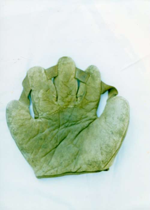 Ambidextrous Glove Front